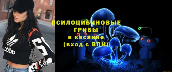 2c-b Михайлов